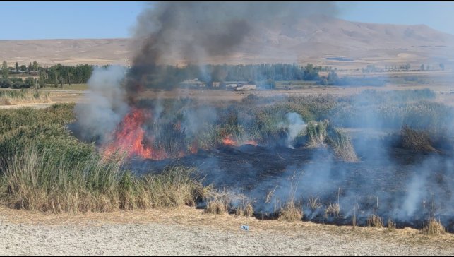 Prof. Dr. Lokman Aslan: "Sulak alanlar tabiatın rahimleridir"