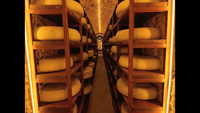 Kars Peynir Müzesi yoğun ilgi görüyor