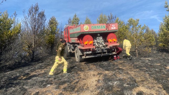 Kars'ta ormanda çıkan örtü yangınında yaklaşık 3 hektar alan zarar gördü