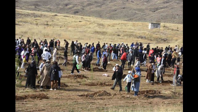 Bitlis'te milli ağaçlandırma seferberliği