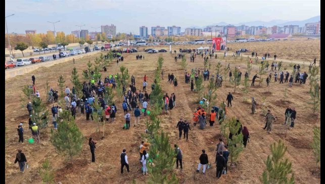 Muş'ta 20 bin fidan toprakla buluşturuldu