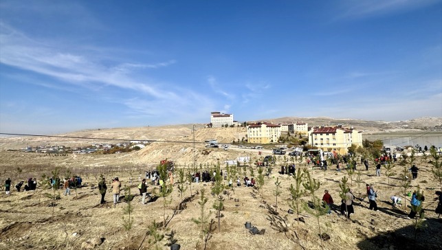 Van ve çevre illerde binlerce fidan toprakla buluşturuldu