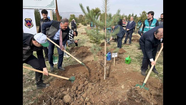Bingöl'de 25 bin fidan toprakla buluştu
