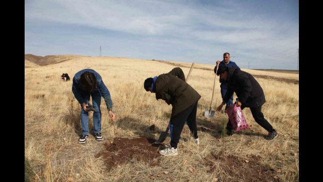 Ahlat'ta "Maziden Atiye" programı kapsamında öğrenciler fidan dikti