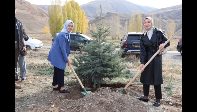 Tercan'da fidanlar toprakla buluştu