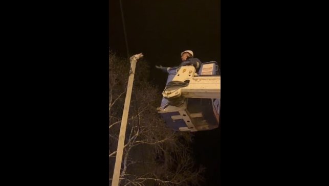 Direkte mahsur kalan kediyi Aras EDAŞ ekipleri kurtardı