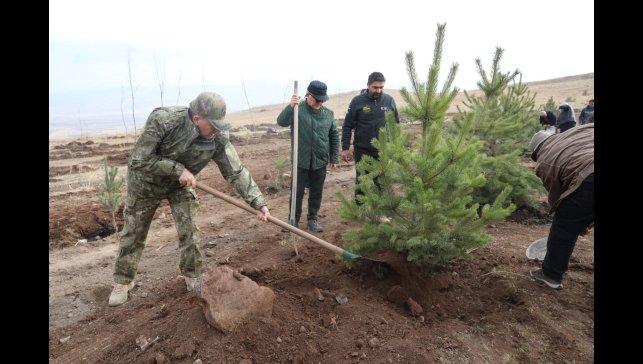 Şehit arkadaşlarının hatırasına 2 bin 400 rakımlı tepeye ağaç diktiler
