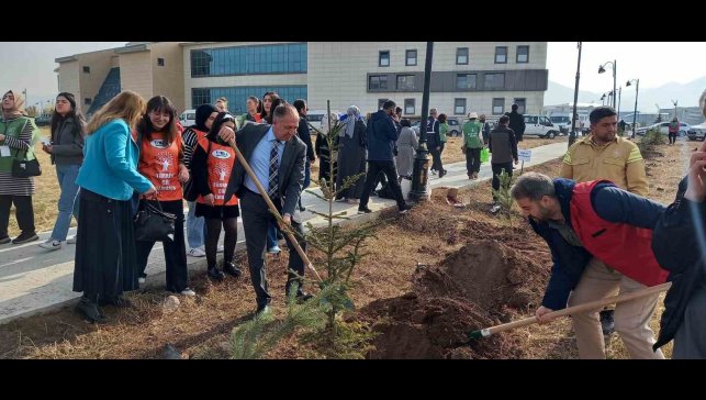 GSİM spor kampüslerine meyve ağacı dikti