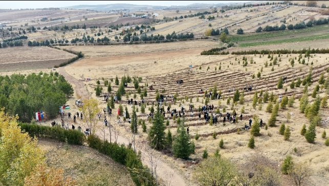 Elazığ'da Doğu Türkistan ve Filistin için fidan diktiler
