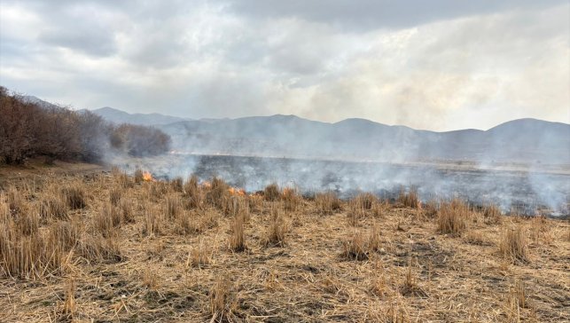 Karlıova'da meydana gelen anız yangını söndürüldü