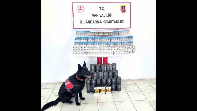Van'da kaçak sigara ve çay ele geçirildi