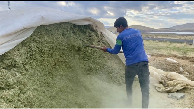 Ağrı'da besiciler kış hazırlıklarına başladı
