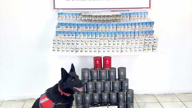 Van'da gümrük kaçağı sigara ve çay ele geçirildi