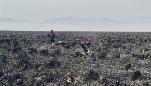 Hakkari'deki Nehil Sazlığı'nda 7 Kasım'da çıkan yangın söndürüldü