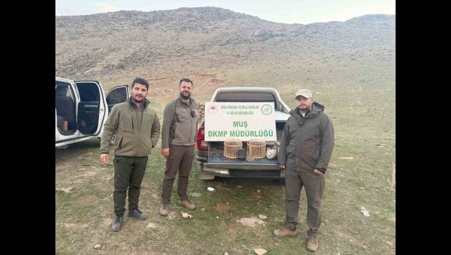 Kafes avcılığı yapan şahıs suçüstü yakalandı: 20 bin TL ceza