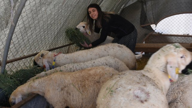 Devlet desteğiyle besiciliğe başlayan kadın 250 hayvana ulaştı