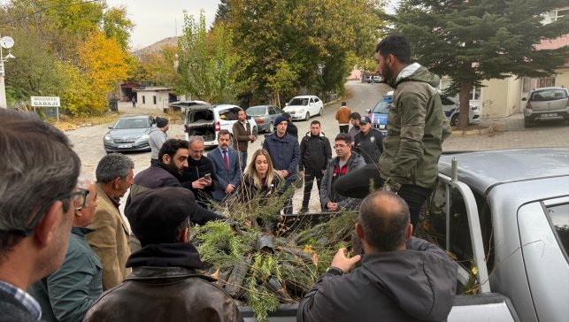 Ağın'da vatandaşlara 2 bin 500 fidan dağıtıldı