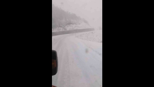 Tunceli'de, kar yağar yağmaz mücadele başladı