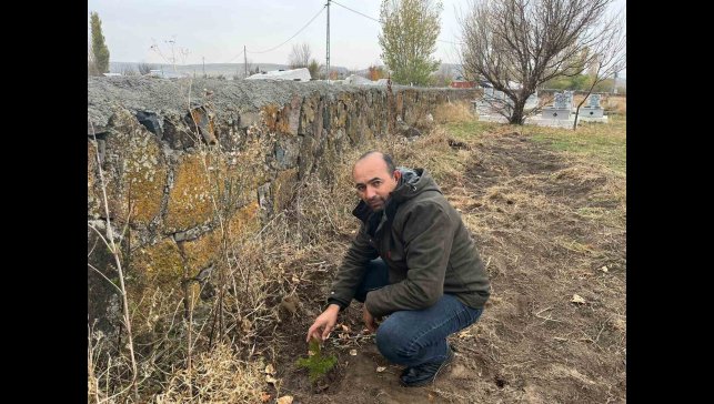 Kars'ta muhtardan örnek davranış: Kayaköprü köyünde fidanlar toprakla buluştu