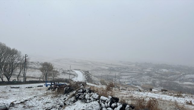 Erzurum ve Kars'ta yüksek kesimlere kar yağdı