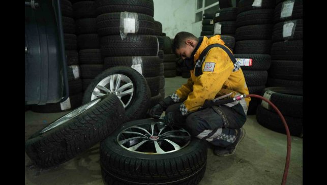Muş'ta köpeklerin saldırdığı tavuk oto lastikçiye sığındı