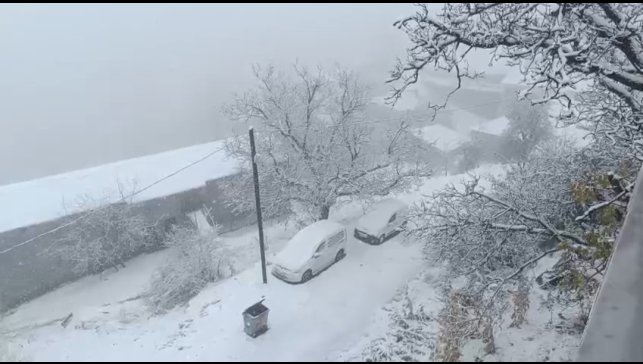 Van'ın Bahçesaray ilçesinde kar etkili oldu