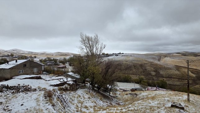 Ahlat'ta yüksek kesimlere kar yağdı