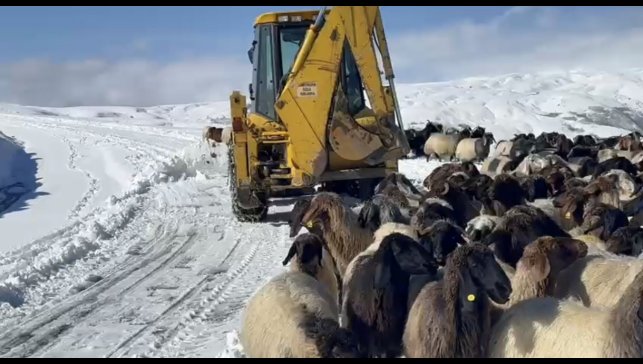 Muş'ta yoğun kar yağışı