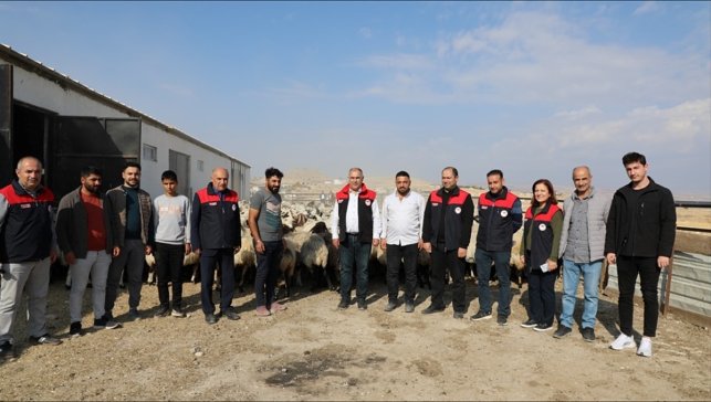 Keban'da 400 küçükbaş kapasiteli modern ağıl faaliyete başladı