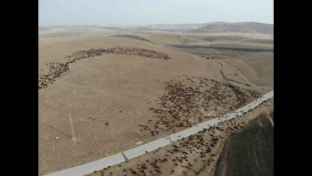 Kars'ta göçerlerin zoru yolculuğu başladı
