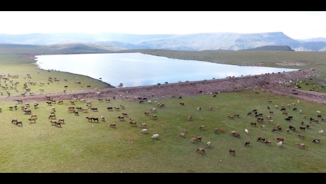 Gölet yapımında Türkiye'ye örnek olan şehir: Erzurum