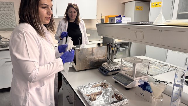 Balığın tazelik derecesini gösteren ölçüm cihazına "buluş" tescili