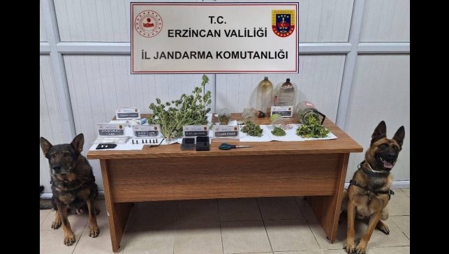 Jandarma Kasım ayı bilançosu: 124 olayın yüzde 93'ü aydınlatıldı