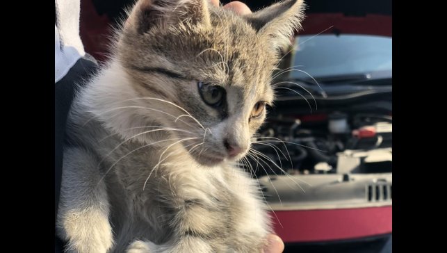 'Kontağı çevirmeden kaputa vurun' uyarısı