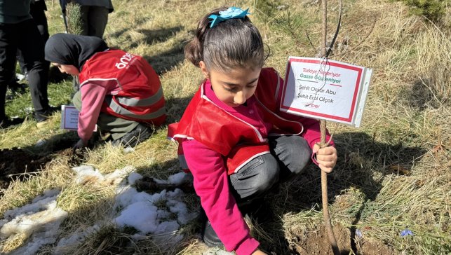 Hakkari'de Türkiye ve Gazze'deki şehitler anısına fidan dikildi