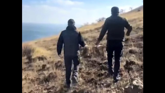 Rehabilite edilen keklikler yeniden doğayla buluştu