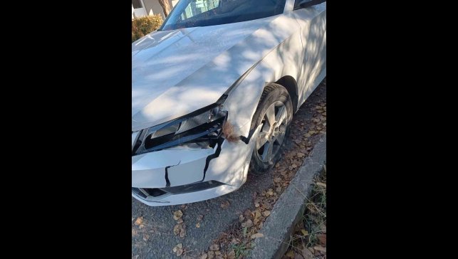 Otomobil ayıya çarptı