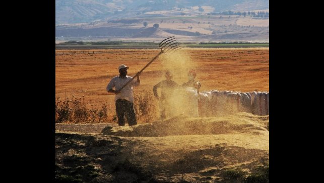 Tarım-GFE yıllık yüzde 34,60 arttı