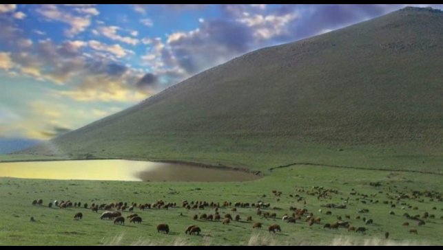 Köy muhtarının merayı kiraya vermesiyle ilgili soruşturma başlatıldı