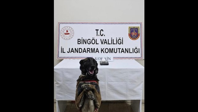 Bingöl'de bir haftalık asayiş verileri paylaşıldı