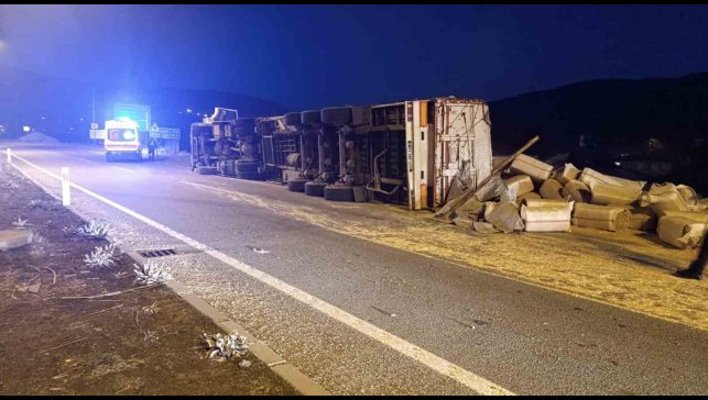 Bingöl'de saman yüklü kamyon devrildi