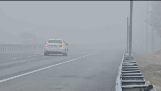 Bitlis'te yoğun sis etkili oldu: Görüş mesafesi sıfıra düştü