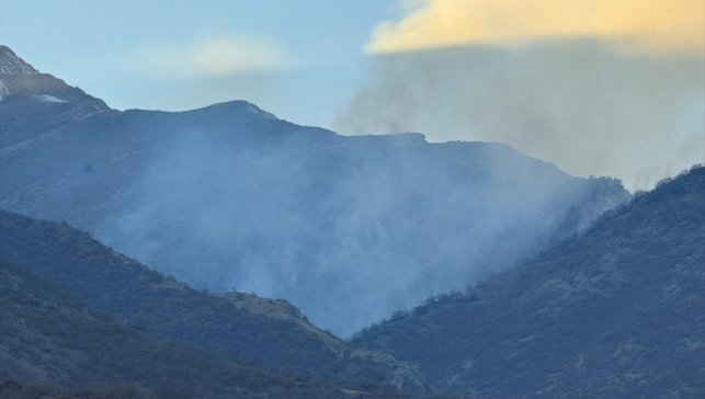 Hakkari'de ağaçlık alanda çıkan yangın kontrol altına alındı