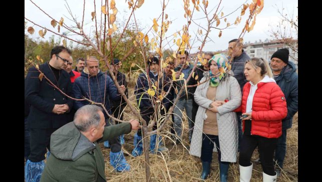 Elazığ'da ağaç budama ve aşılama eğitimi