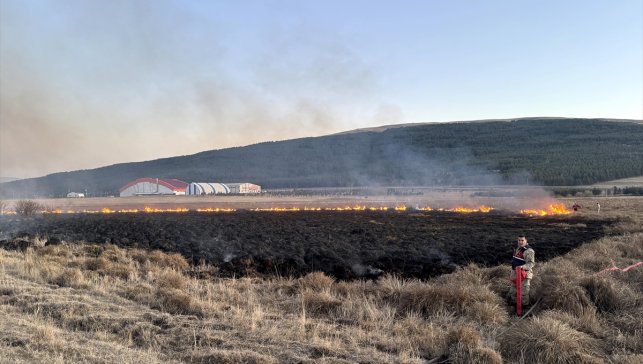 Ardahan'da Putka Gölü sazlığında çıkan yangına müdahale ediliyor
