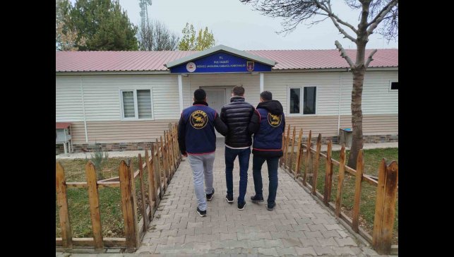 Muş'ta dolandırıcılık suçundan aranan hükümlü yakalandı