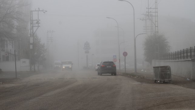 Malazgirt'te sis etkili oldu