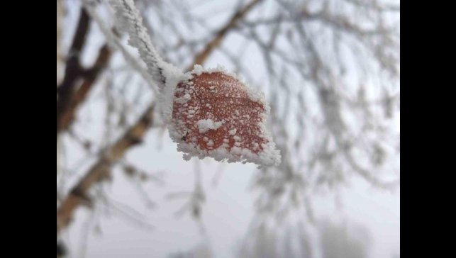 Hava sıcaklığının eksi 14,6 dereceye düştüğü Göle buz tuttu