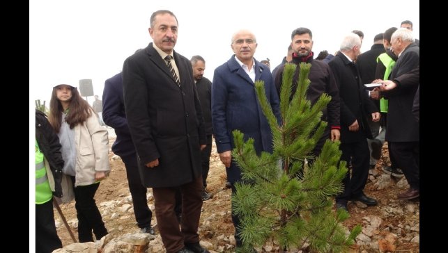 Beydağı'nın etekleri 10 bin 444 ağaçla geleceğe nefes oldu