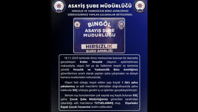 Bingöl'de hırsızlık olayının faili tutuklandı